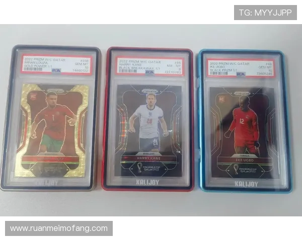 足球球星卡鉴定与市场价格一览表全面解析